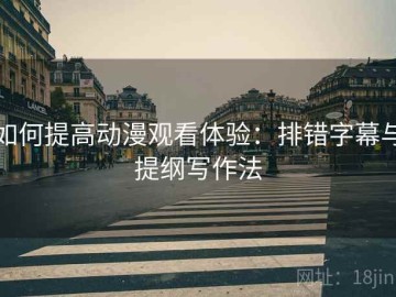 如何提高动漫观看体验：排错字幕与提纲写作法
