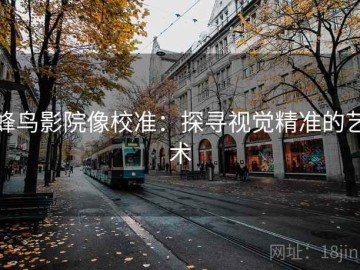 蜂鸟影院像校准：探寻视觉精准的艺术
