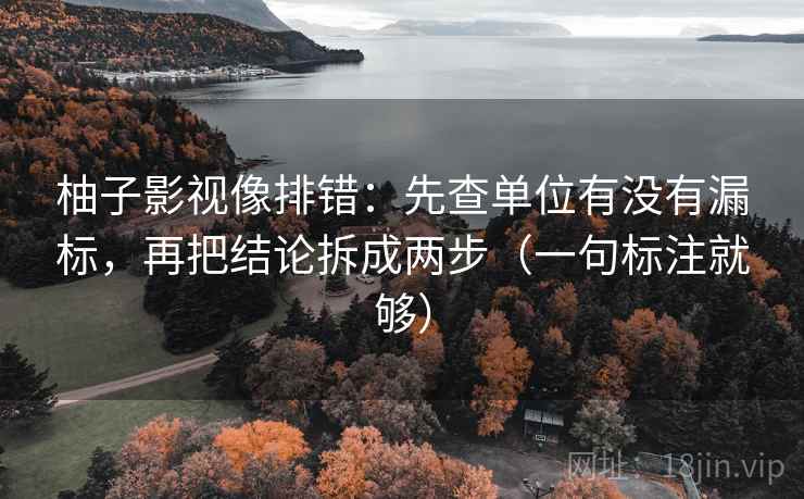 柚子影视像排错:先查单位有没有漏标,再把结论拆成两步(一句标注就够) 柚子影视像排错:先查单位有没有漏标,再把结论拆成两步(一句标注就够)