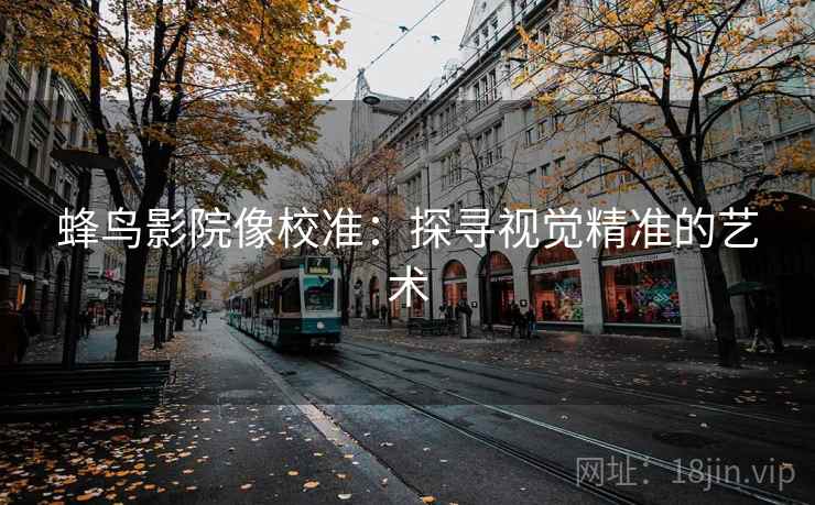 蜂鸟影院像校准：探寻视觉精准的艺术